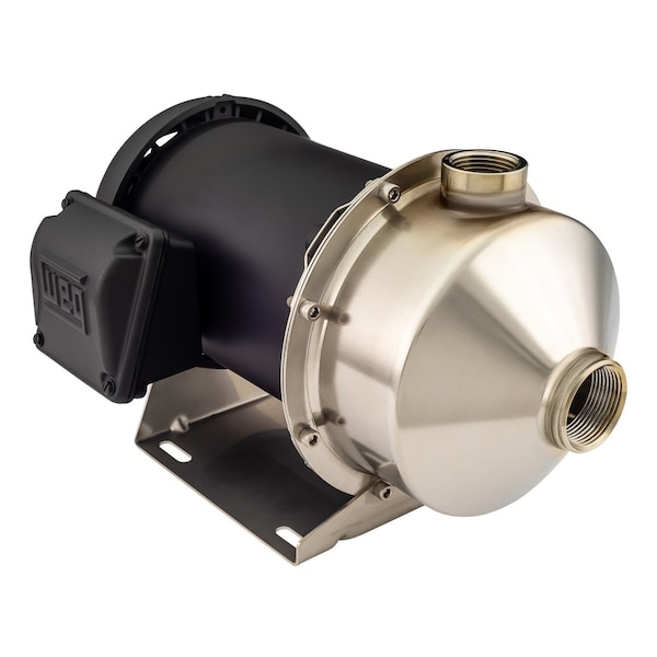 American Stainless Pumps Stainless Steel Pump, Carbon/Silicon Carbide